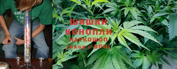 стафф Дмитровск