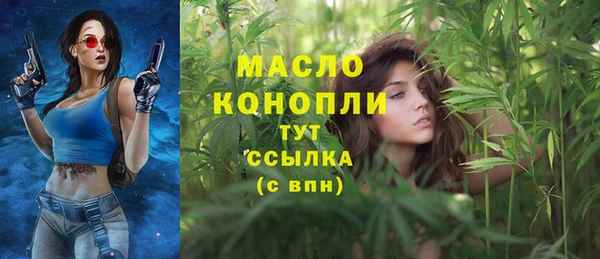 бошки Дмитриев