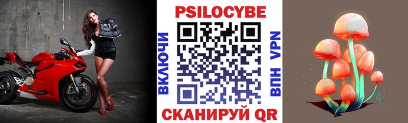 Псилоцибиновые грибы Psilocybine cubensis  Купить где  Аркадак 